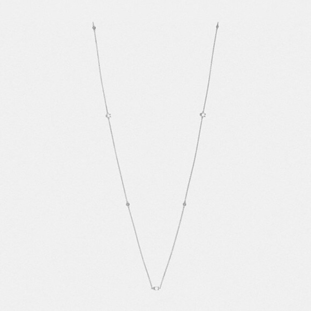 Signature Chain Long Necklace